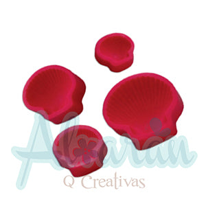 conchas-x-4-tamaños-lado.jpg