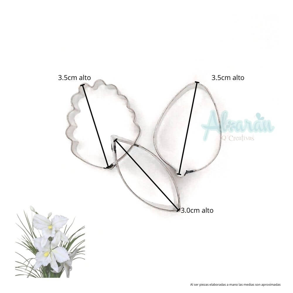 CORTADORES DE ORQUIDEA CATTLEYA CHICA
