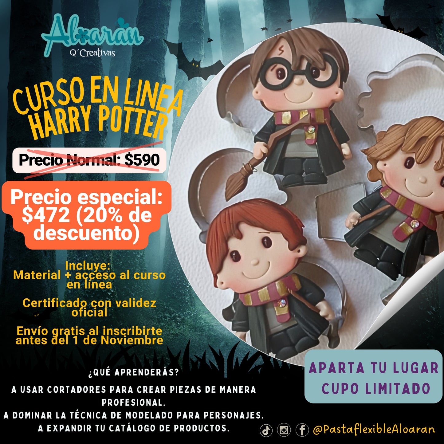 CURSO DE PASTA FLEXIBLE EN LINEA HARRY POTTER
