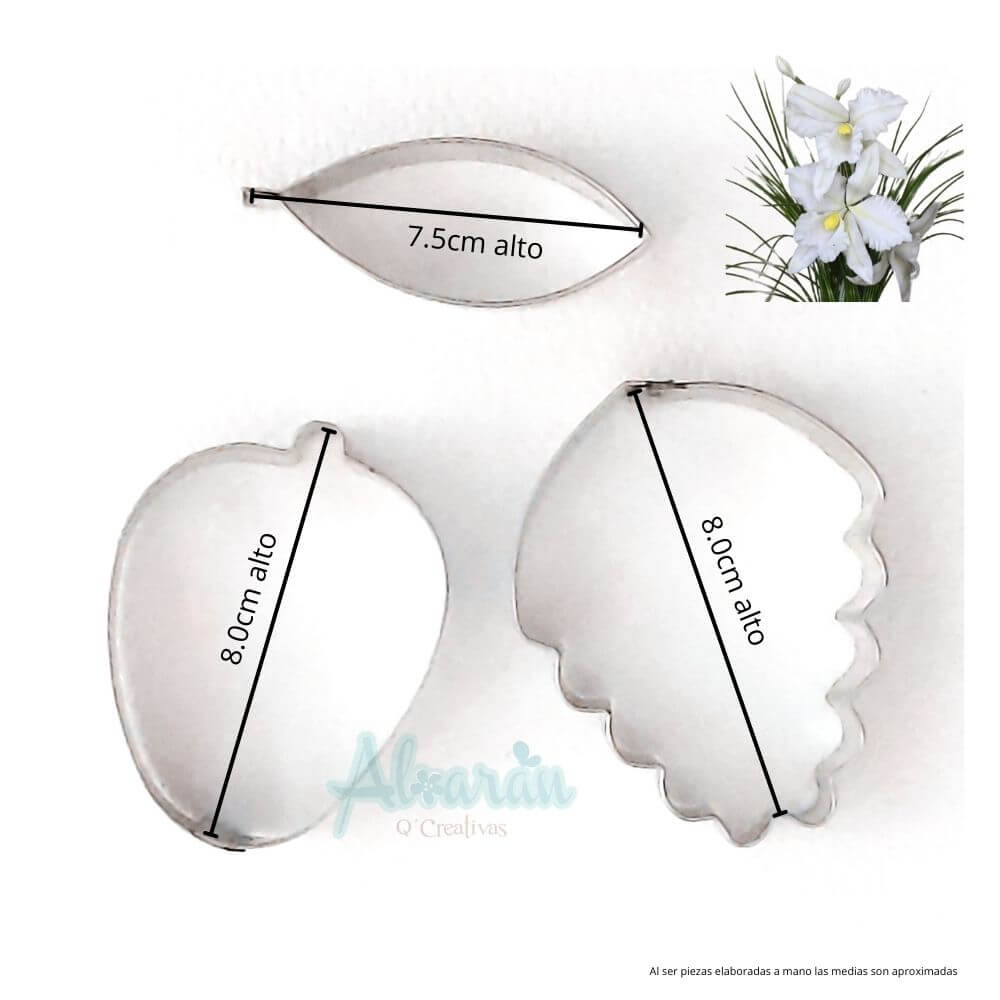 CORTADORES DE ORQUIDEA CATTLEYA JUMBO