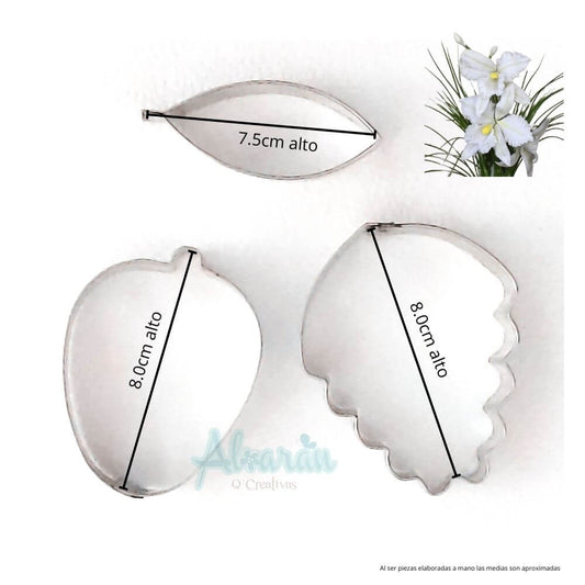 CORTADORES DE ORQUIDEA CATTLEYA JUMBO