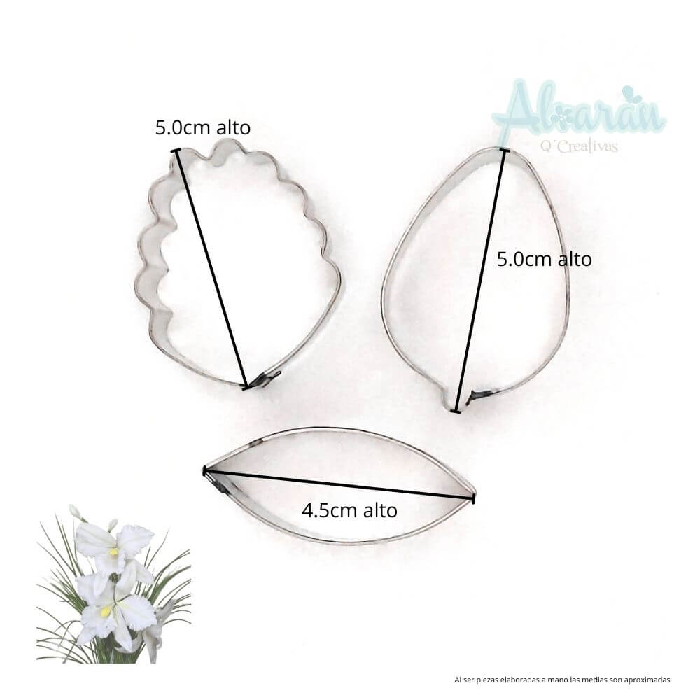 CORTADORES  DE ORQUIDEA CATTLEYA MEDIANA