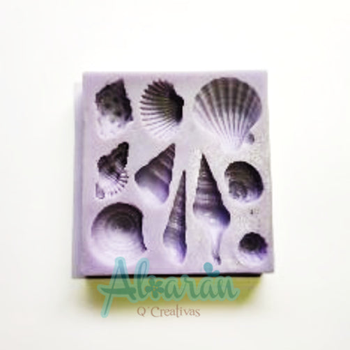  molde-silicon-caracolas-de-mar-x10.jpg